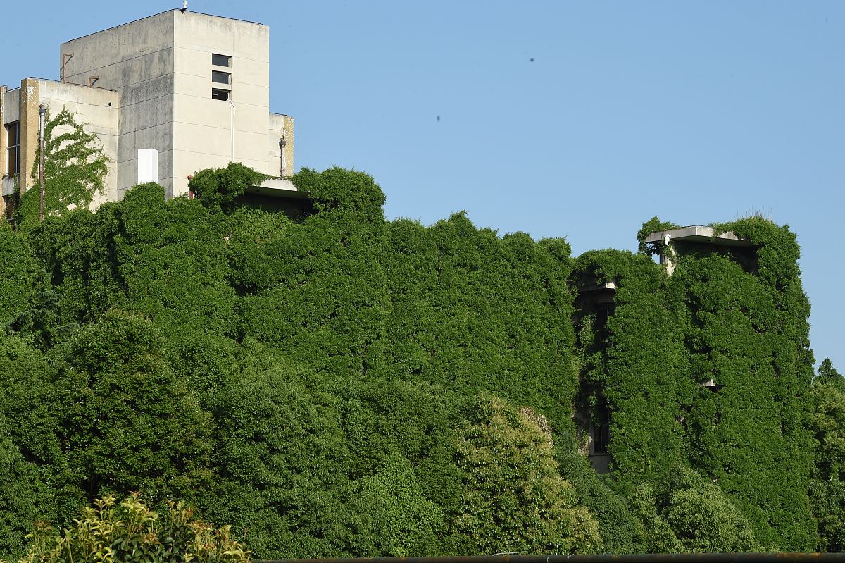 贵阳铁路学校和幼师哪个好？2020年选择指南