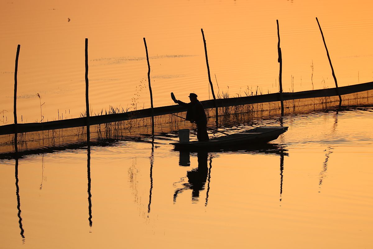 安徽粮食经济技师学院2023年招生专业：农业、经济、管理、技术等领域人才培养