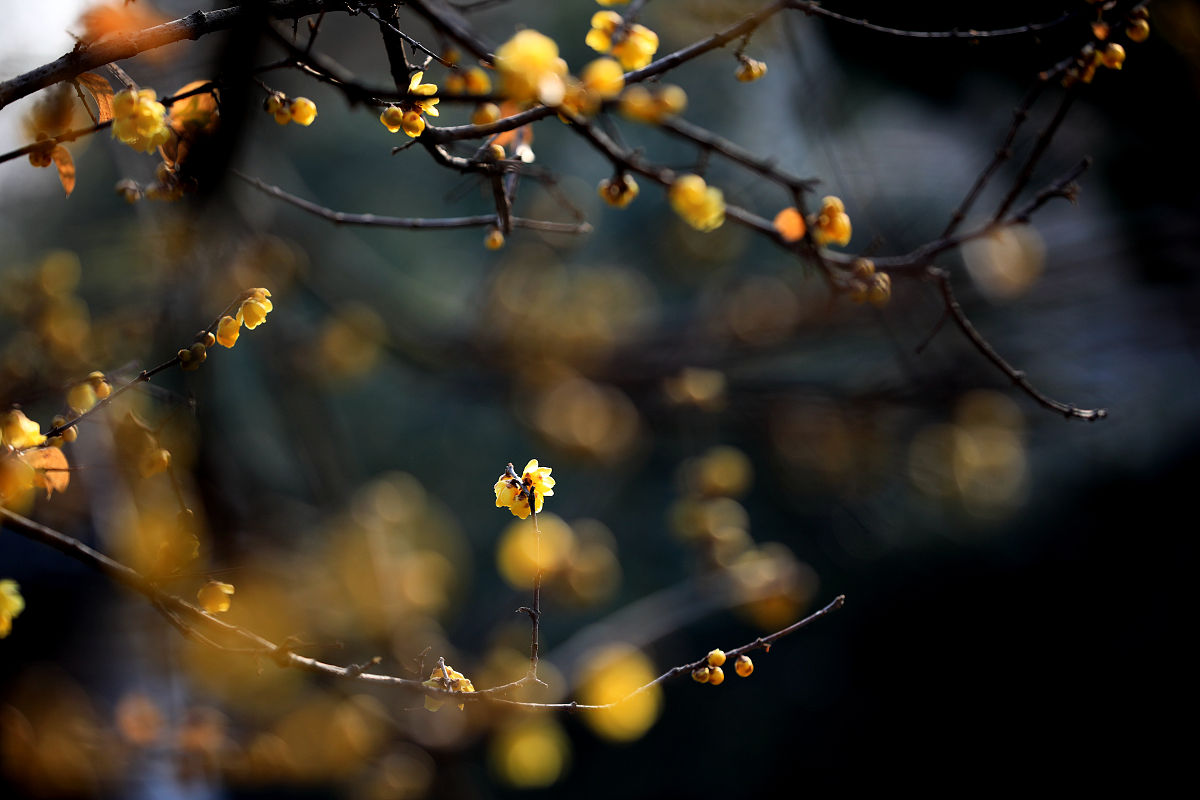 江苏省经贸技师学院2022年有哪些专业？