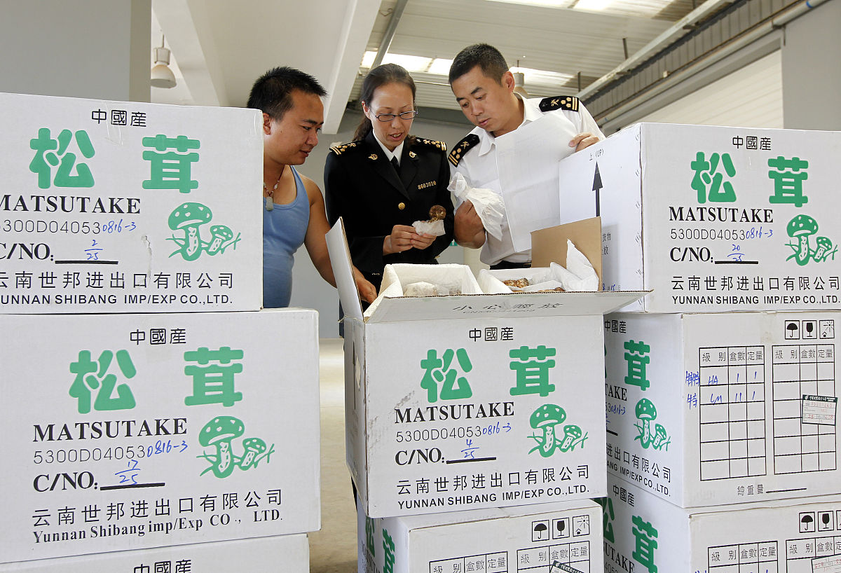 海关通关时间合理区间