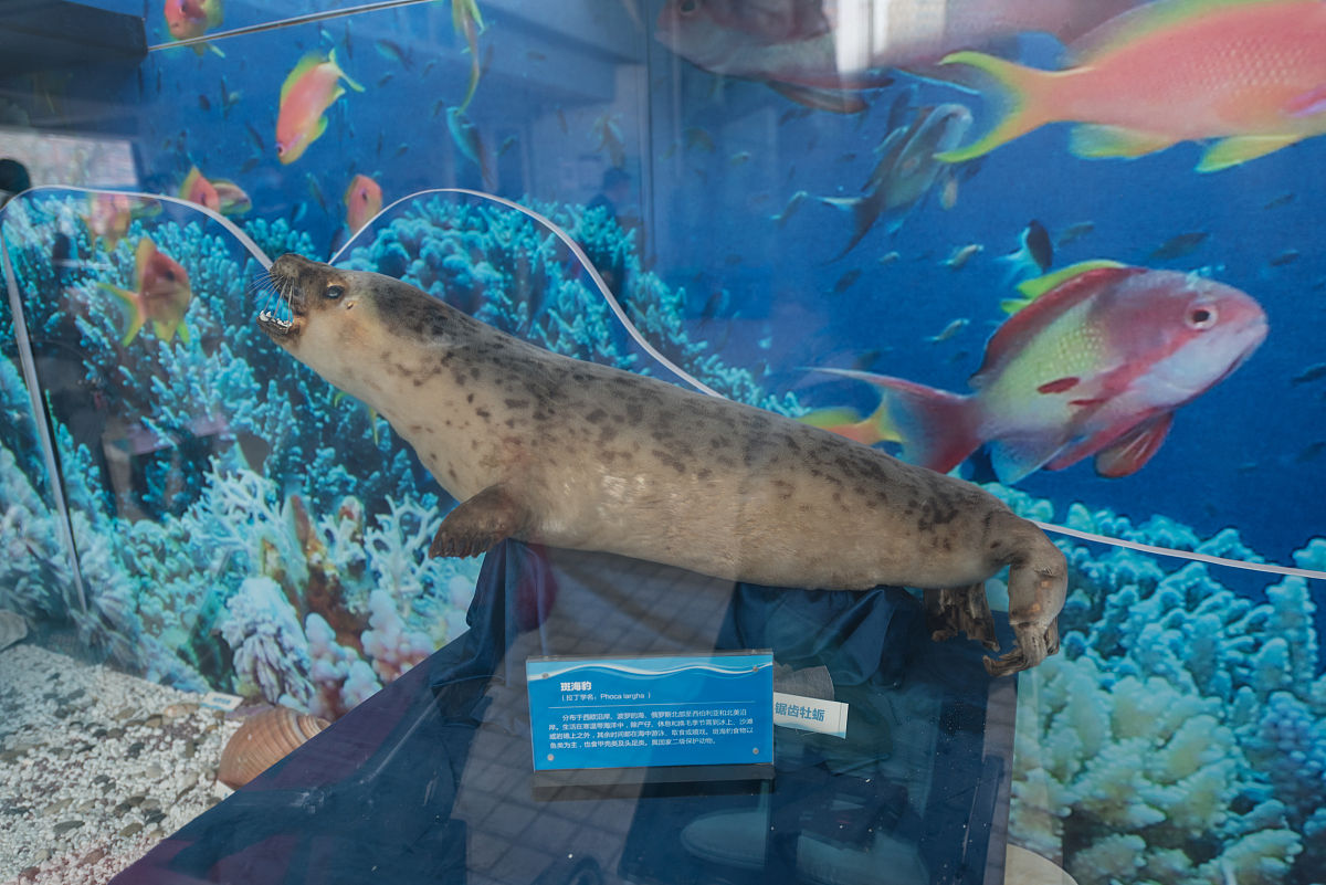 临海海商职业技术学校报名条件：2021年招生要求