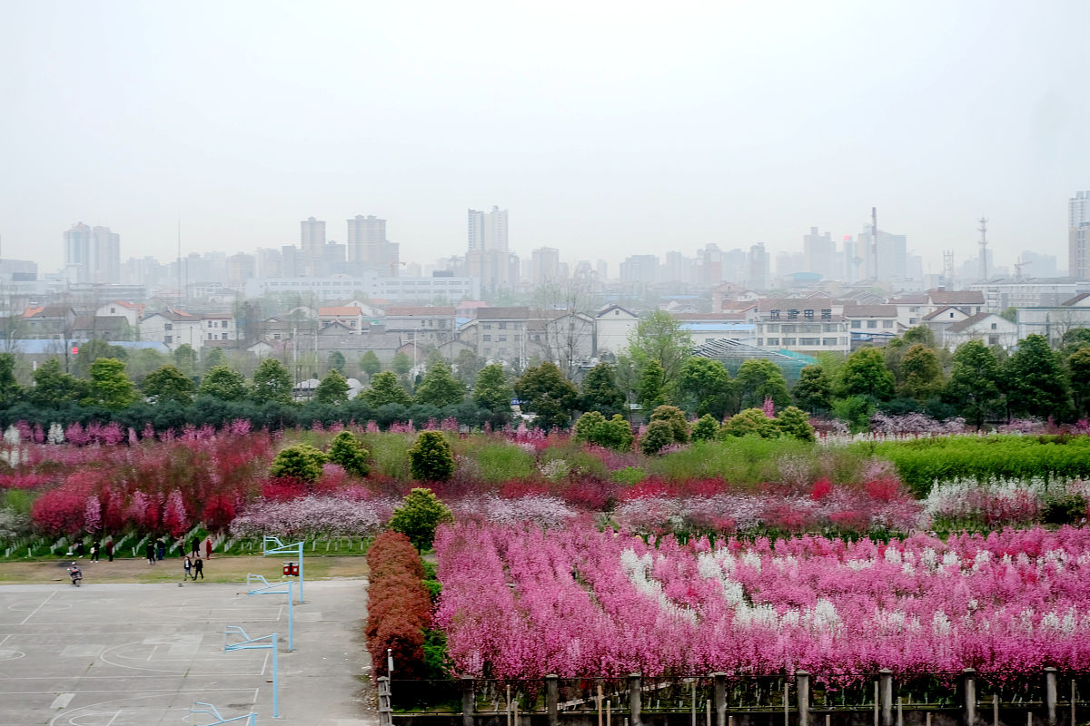 湖南大众传媒职业技术学院影视表演专业就业方向有哪些