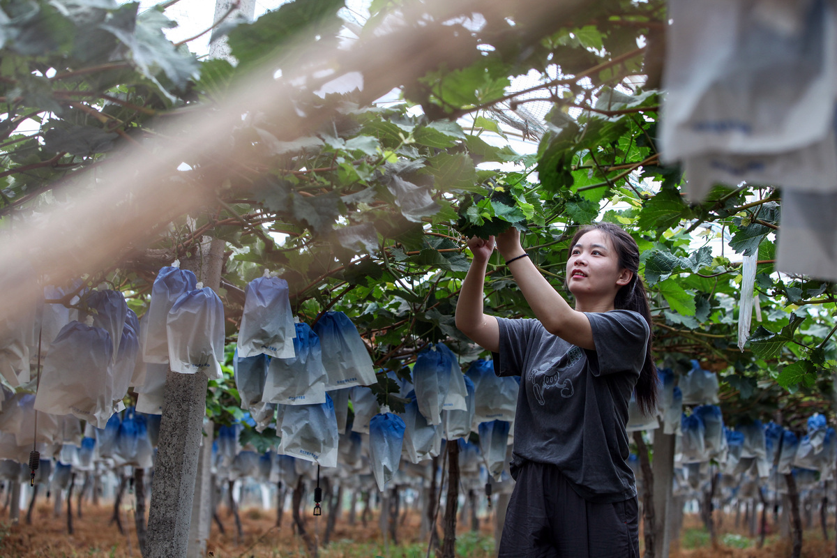 乡村文化助力发展：临潼神东村农民诗人故事