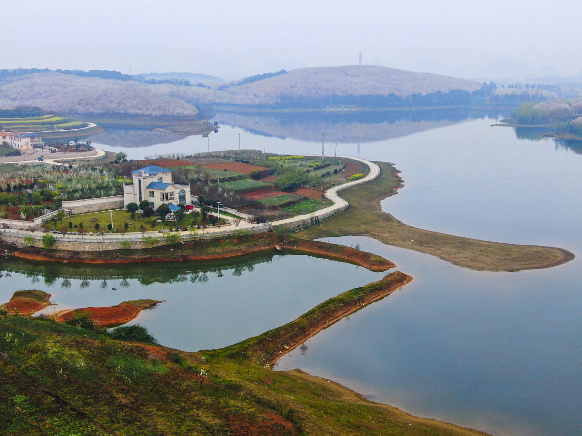 2019年3月25日,在贵州省贵安新区拍摄的茶园.在这片茶叶山位于风景秀