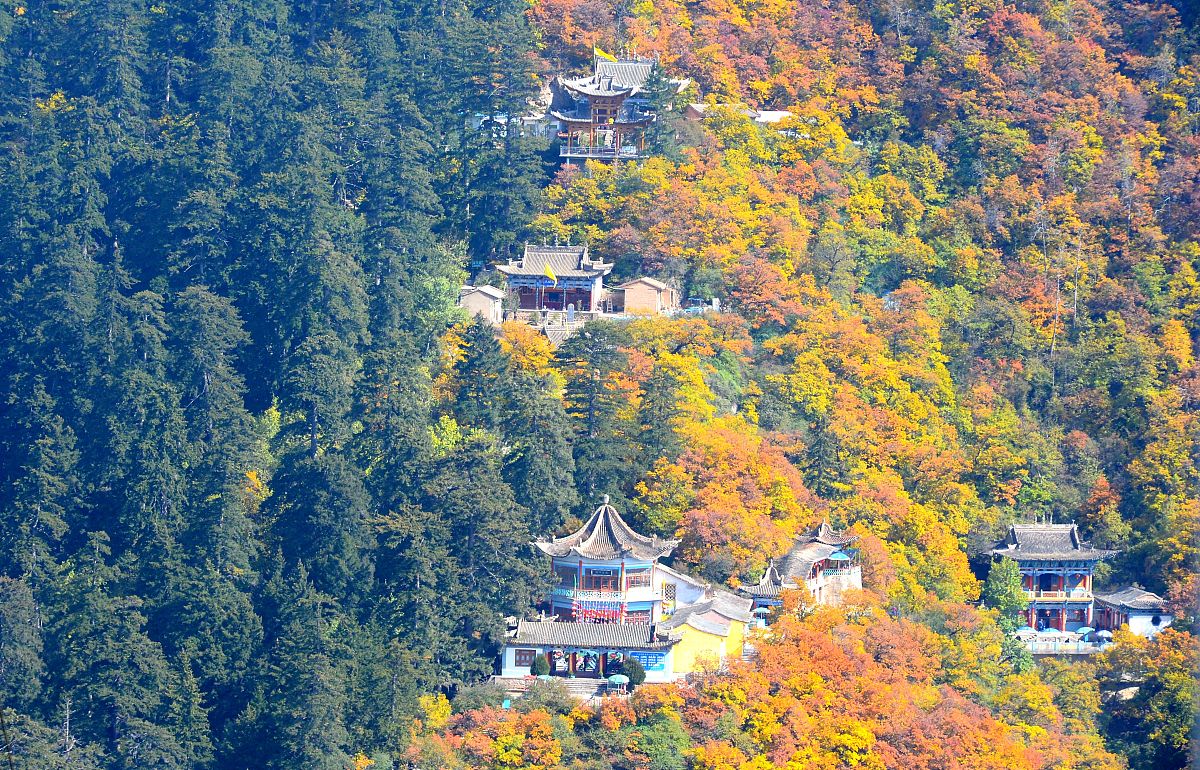 兰州兴隆山主建谱土类土壤属性特征分析