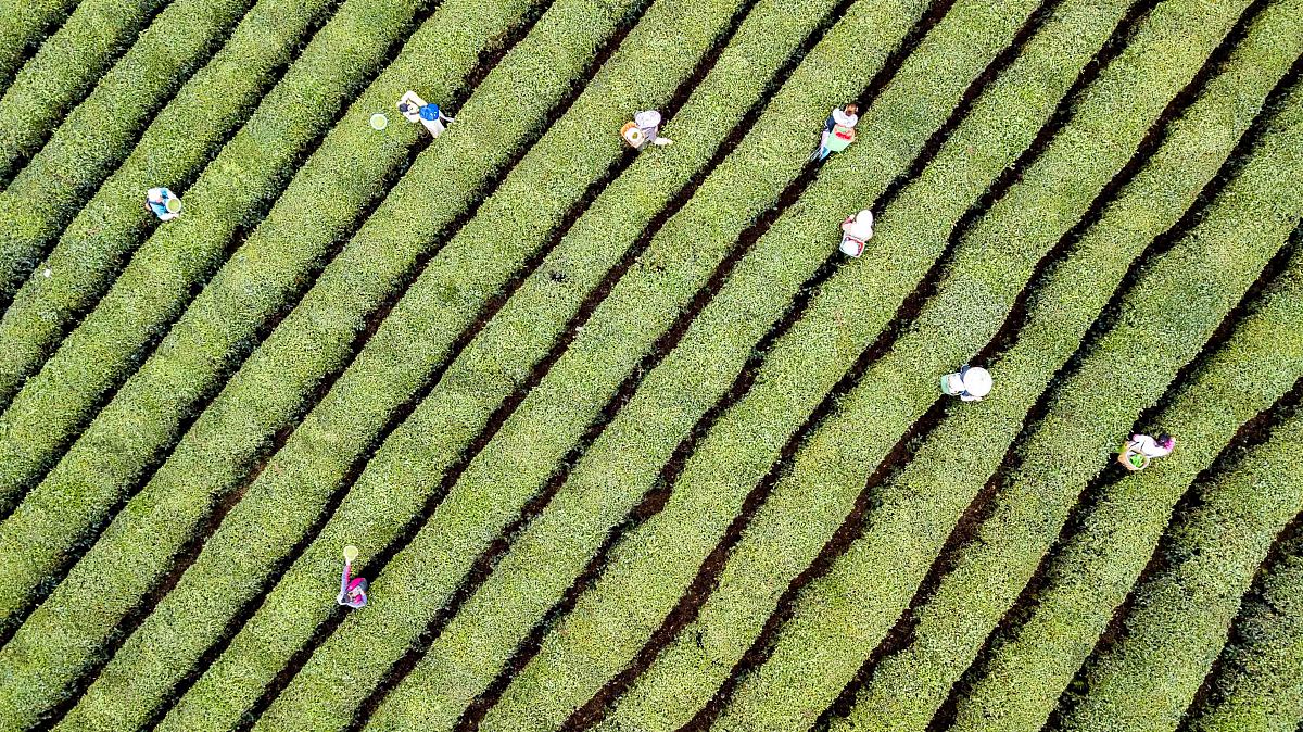 安顺最好的中专学校推荐：就业前景分析