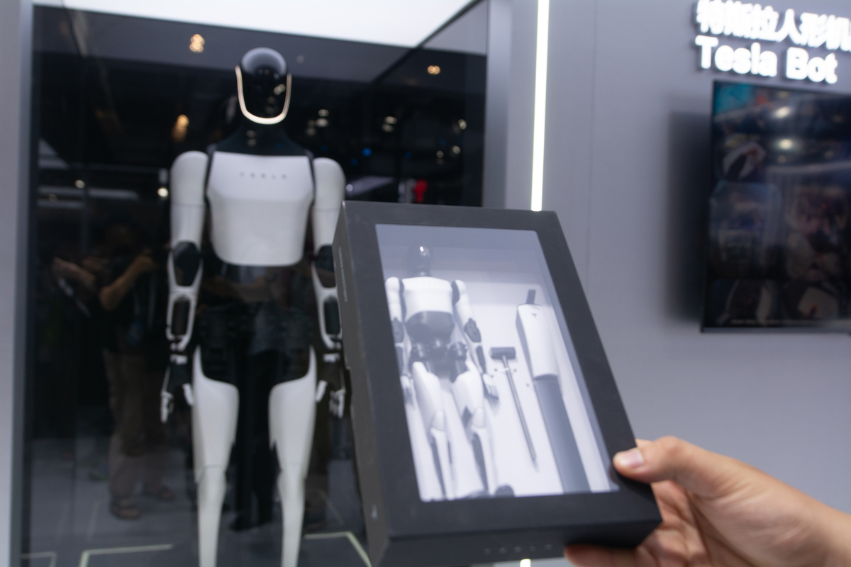 Multipurpose Social Robot: A Vision for Efficiency and Well-being