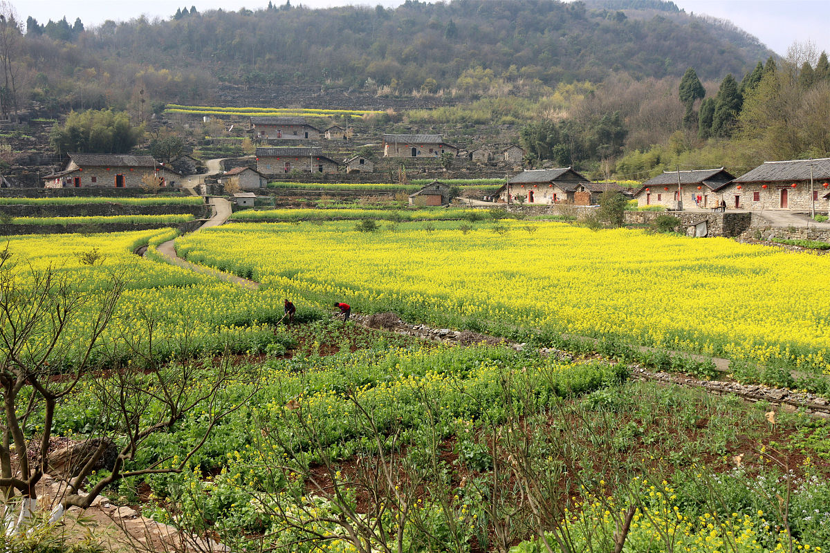 宜昌卫校排名：2022年最佳选择推荐