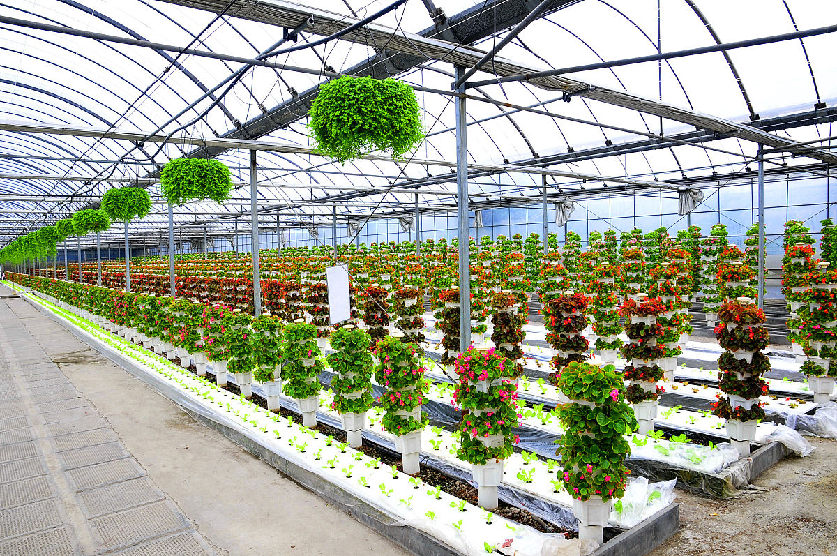 兰州园艺学校设施农业技术专业就业前景分析