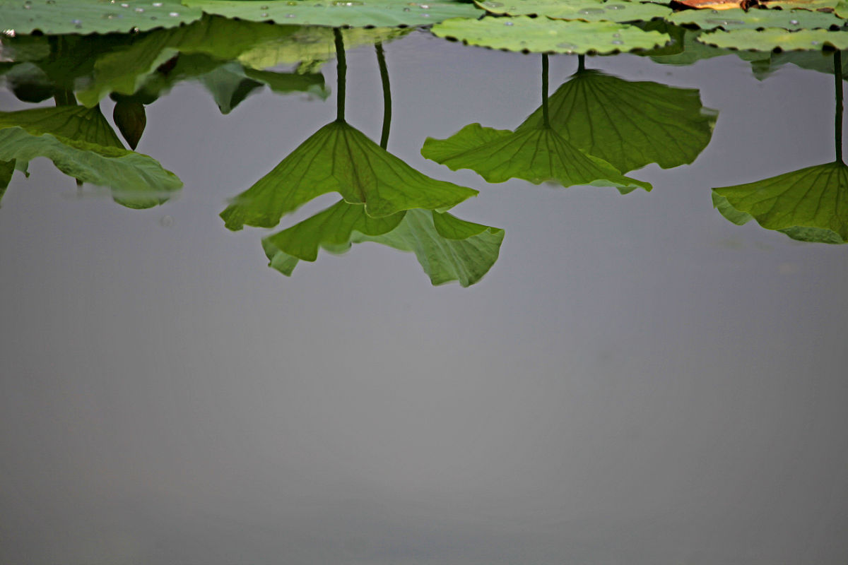 吉林省化工产业历年增长值详细解答并扩展补充