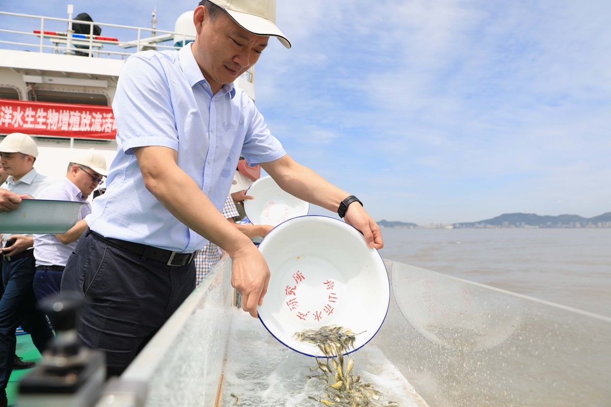 岳阳县东洞庭湖渔政监察执法局护渔员周界武：'江豚也多了，水也清了，看到这些变化，心里真的很高兴。' - 江豚保护工作取得显著成果
