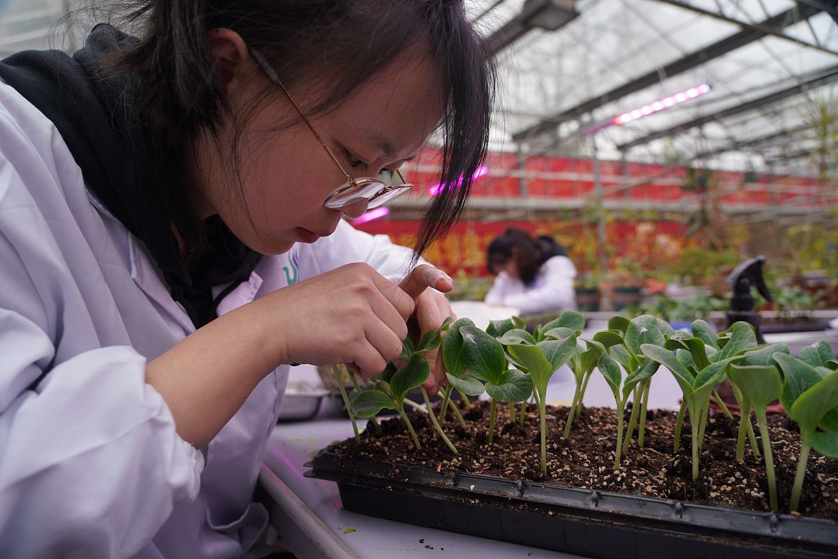 日照农业学校2023年有哪些专业