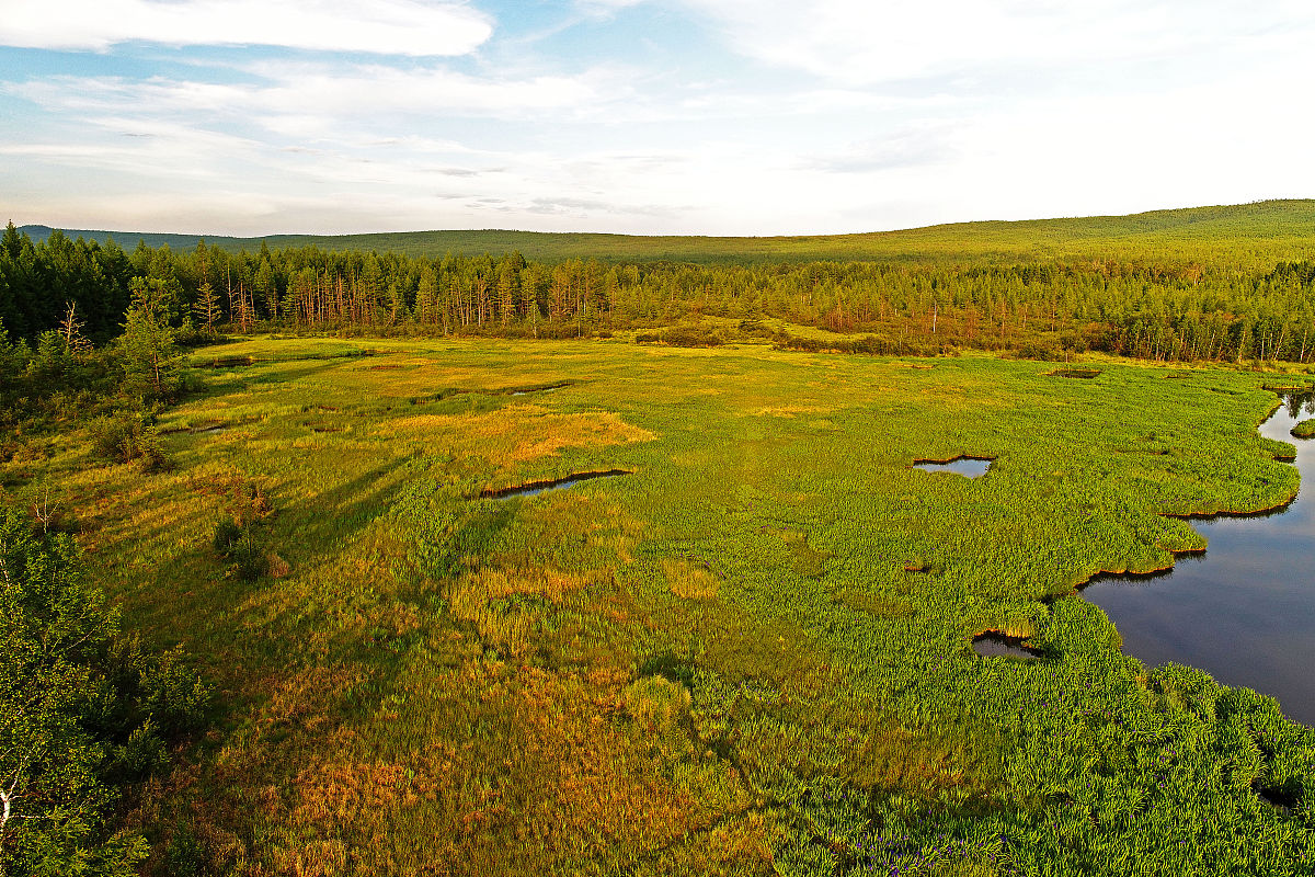 草原和草甸的区别：植被、地理、水分和生物多样性