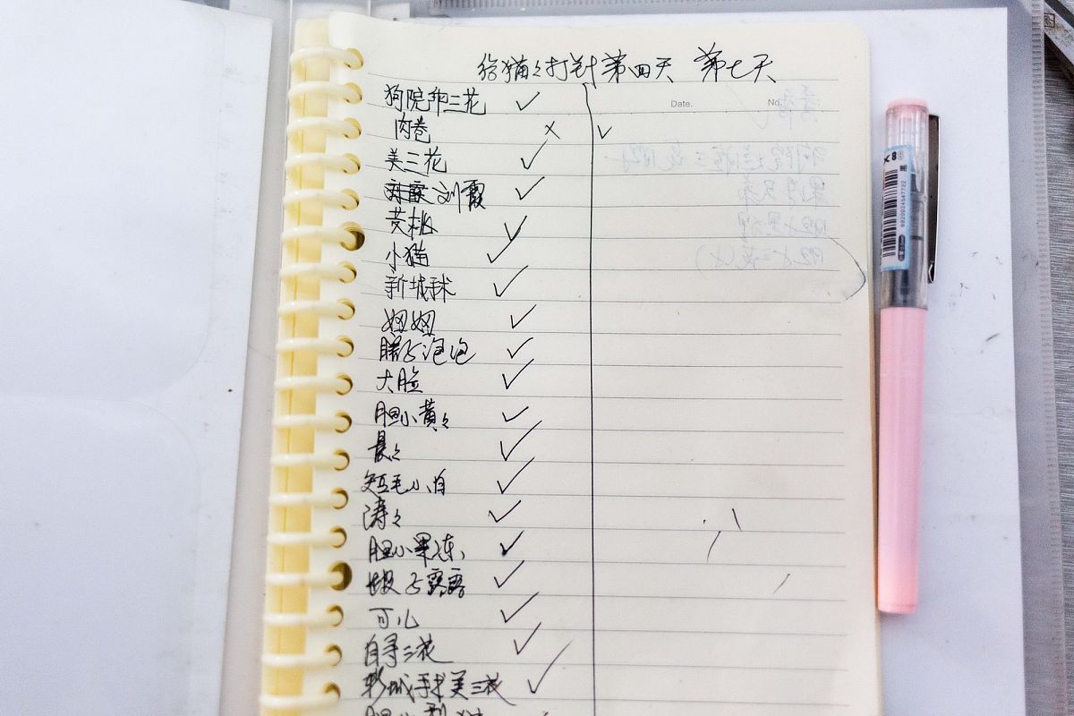 我们有11家美容店每家美容店有4-6个美容师和1个店长我们现在的要求是他们每个人每天都要写一个笔记我作为管理者该如何统计每家店的笔记数量