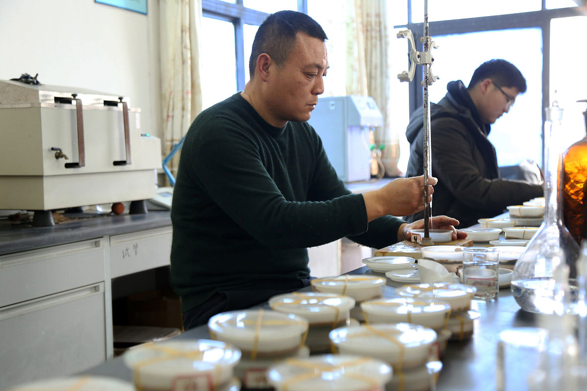 土壤与氮元素有关的知识点