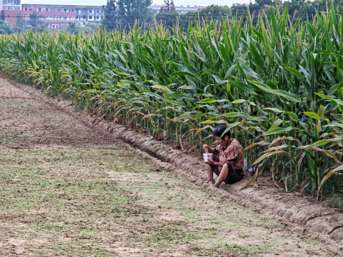 孝感的媒体曝光平台有哪些|孝感媒体曝光求助热线是多少 要求:创建一篇1500至2000字的解决方案 孝感的媒体曝光平台有哪些|孝感媒体曝光求助热线是多少 要求:创建一篇1500至2000字的解决方案