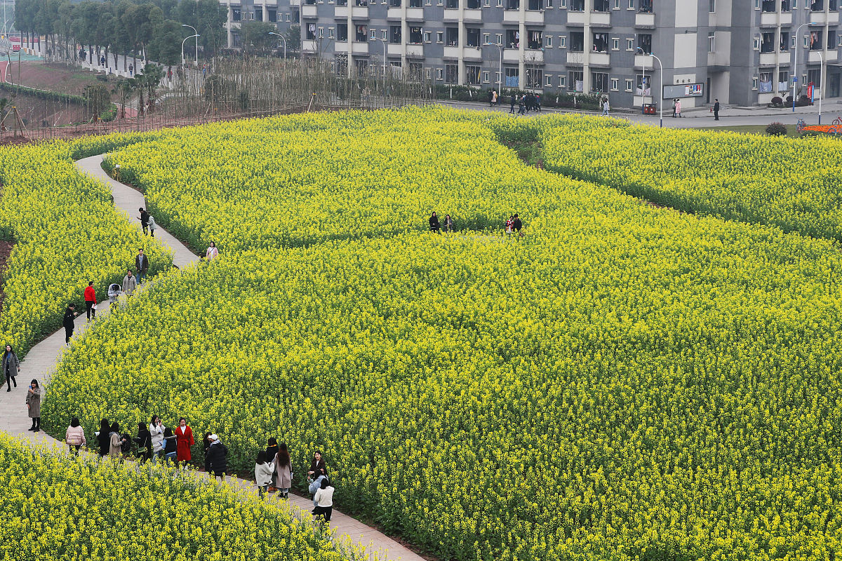 2020年重庆电信职业学院财务管理专业招生 - 报名条件、就业前景、专业介绍