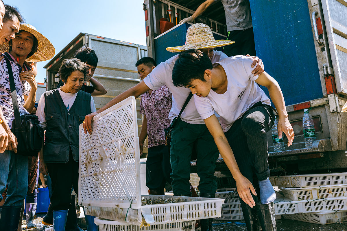 雅安职业技术学院如何