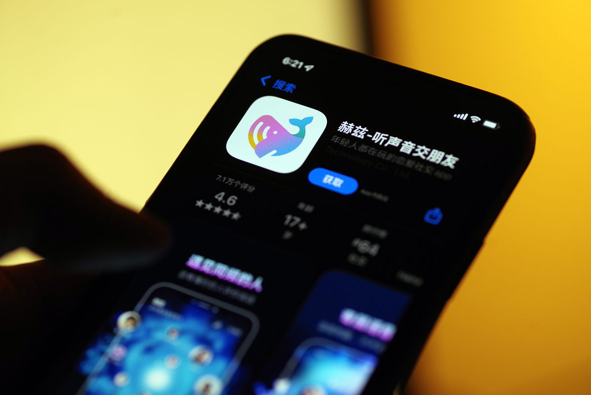 语音助手：我可以理解您的语音