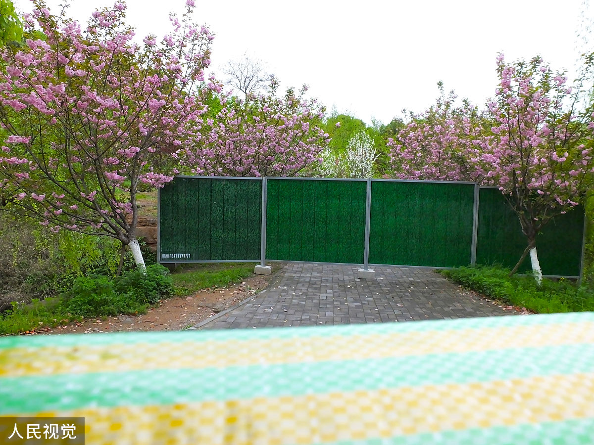 湖北高一开学时间确定了吗？最新消息！