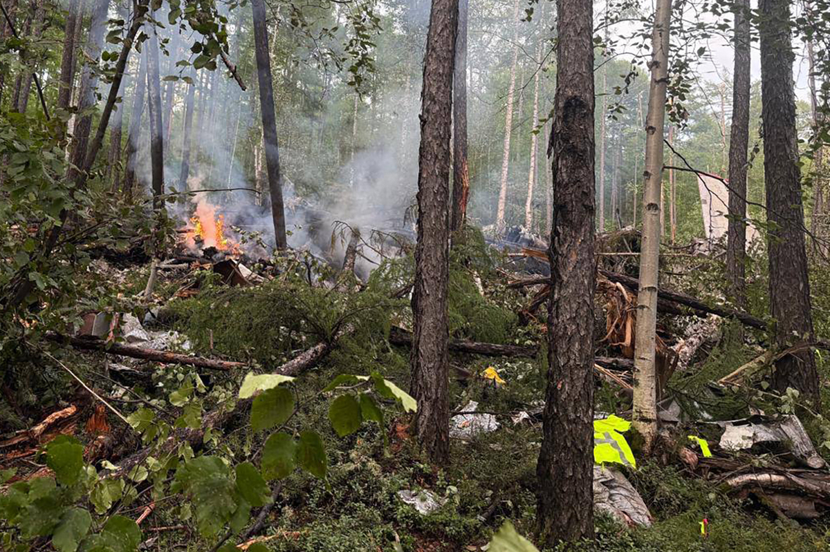森林破碎化缓解热带地区森林砍伐导致的升温
