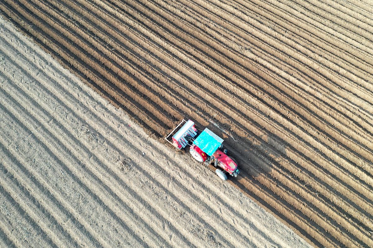 广东新兴中药学校2022年专业设置：中药学、制药、种植与加工等