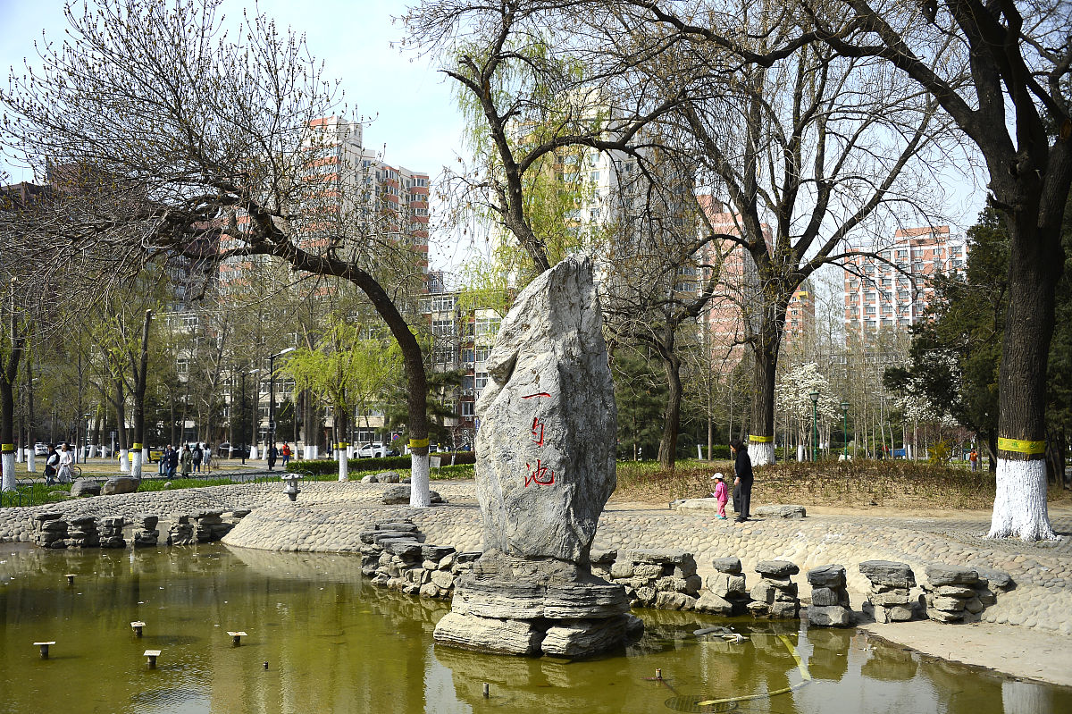 河师大 作一首诗