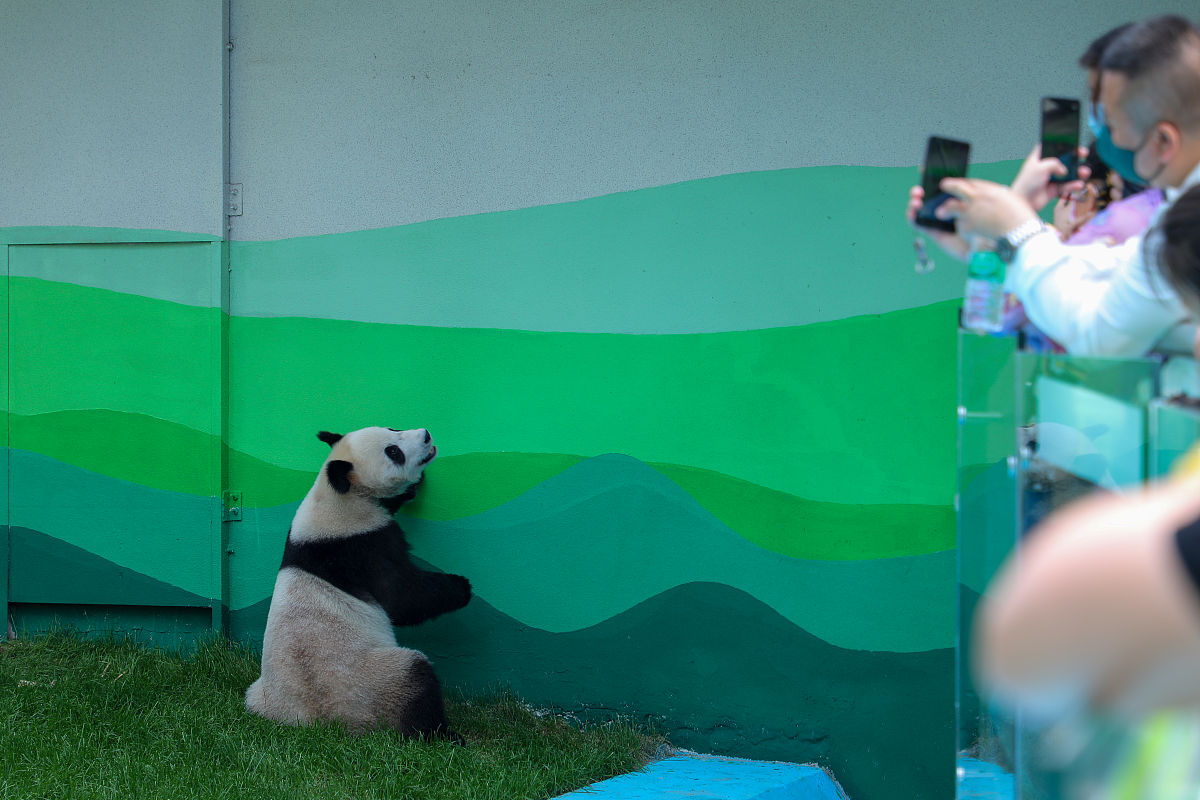 电源制造公司名字：3个字好名字推荐