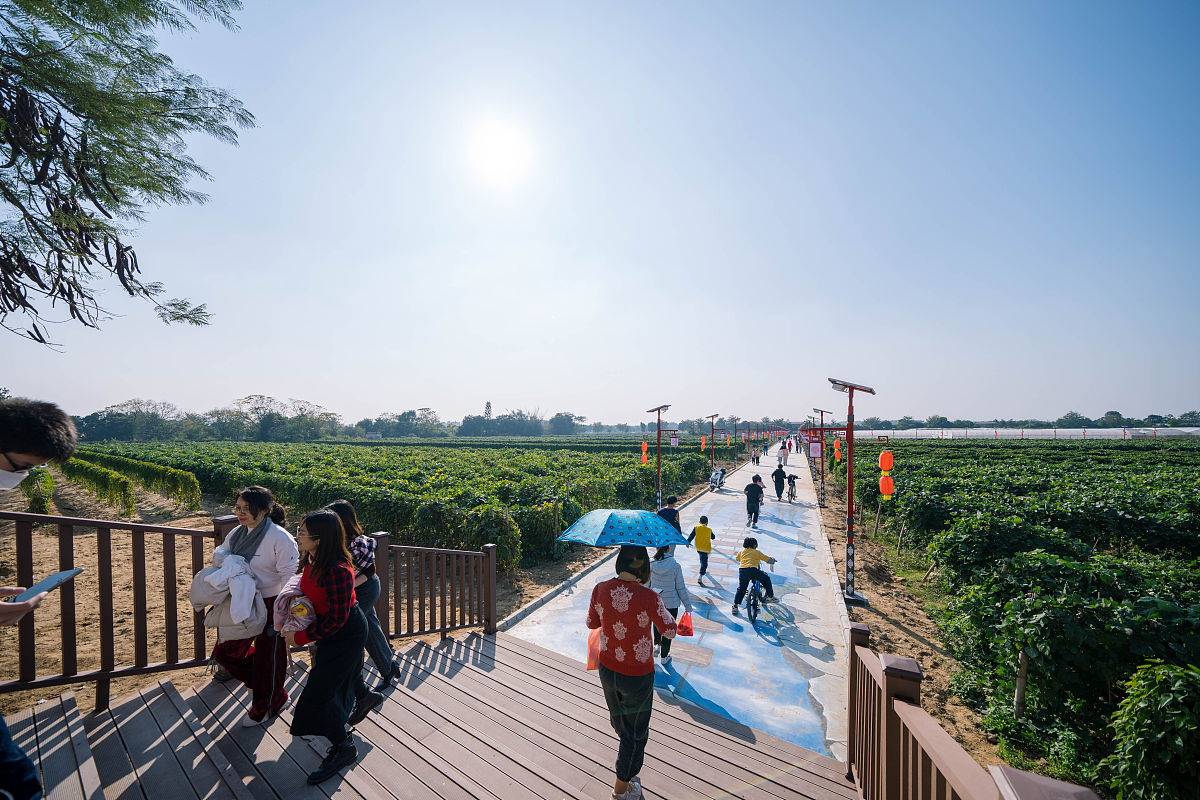 乡村振兴论文3000字写作思路：现状、问题与解决方案