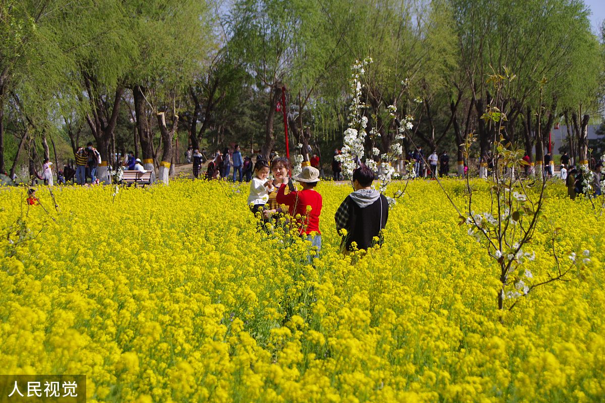 关于春天的作文