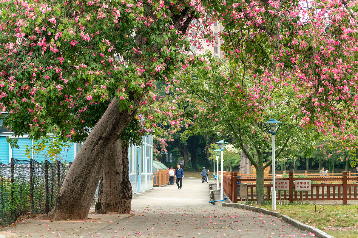重庆酉阳民族师范学校2021年招生专业：10个本科专业和1个硕士专业