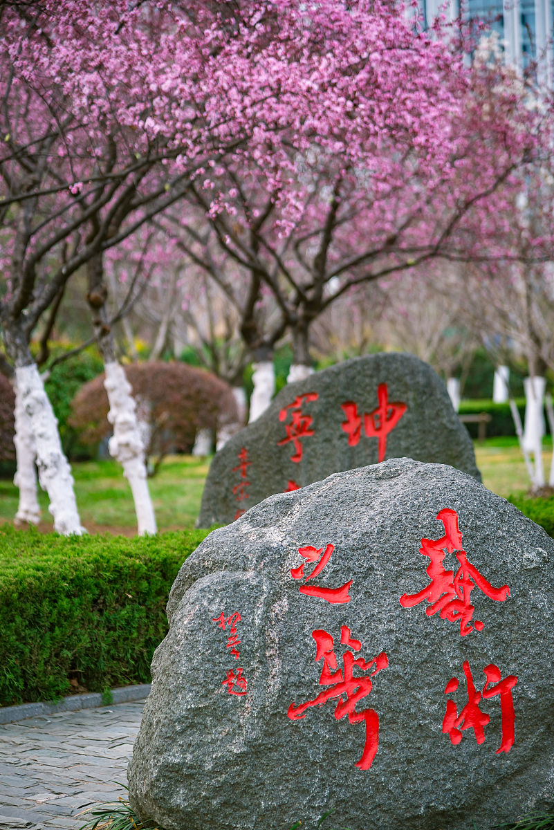 2022年3月23日,春日里的山东临沂书法广场,鸟语花香,生机盎然.
