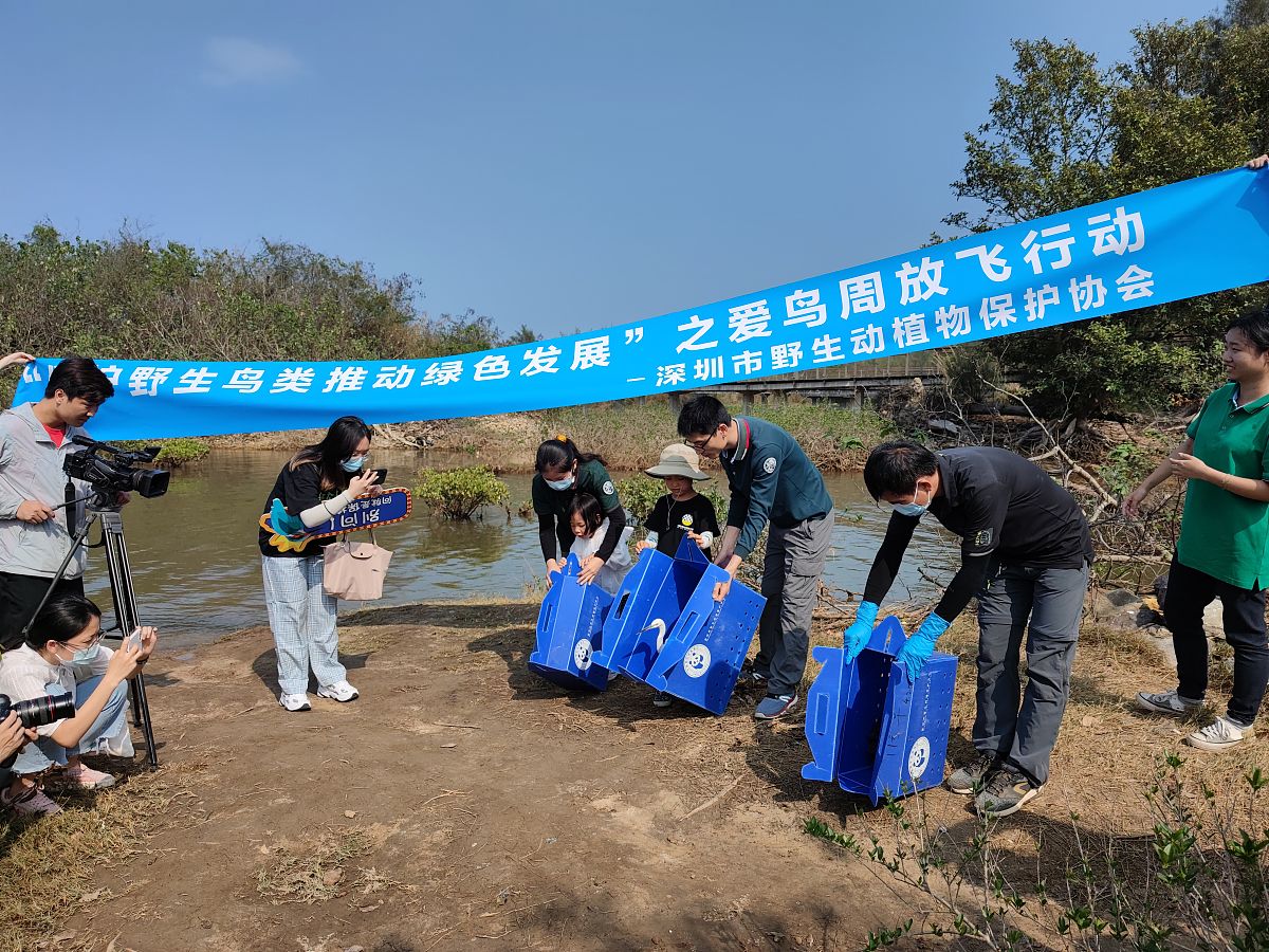 发现自然之美，守护共同家园 | 志愿者花鸟虫鱼科普讲解