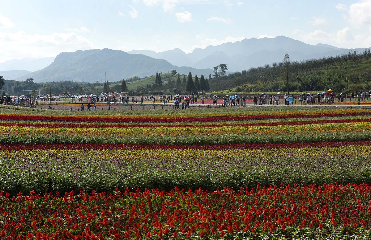 自驾游 一家三口 桃花 黄昏 丘北县小吃 普者黑景区 花海 三生三世附近仙人洞景区骑水牛的的人 米线 炸猪皮 凉粉 价格优惠 麻椒鸡 烤鸭 手工雪糕 麦田 绿化带水果琵琶 写一篇视频文案 用第一视角叙述 用风趣幽默风格