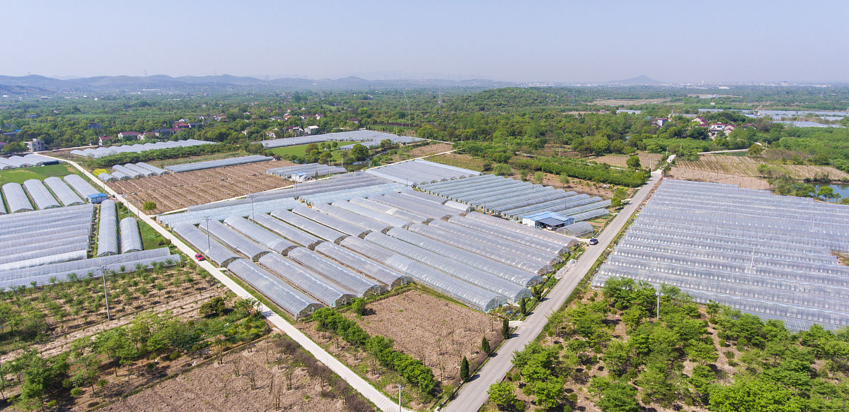 江夏乡村振兴农民就业基地 一期 B 地块工程总承包EPC项目面临困难及风险
