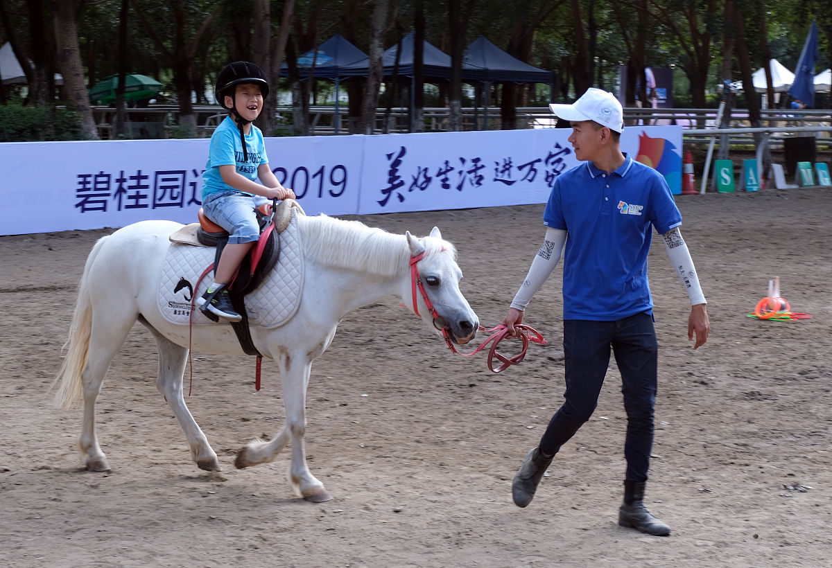 华天创造历史！中国马术队亚运会双金夺冠！