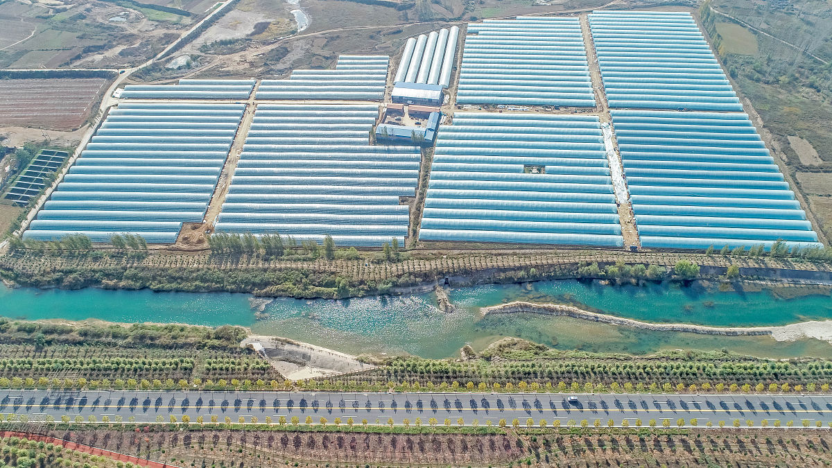 安乐新区安置居民食用菌产业发展项目资金申请