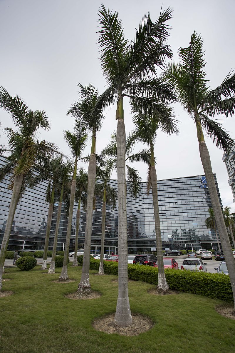 厦门软件职业技术学院网络系统管理专业怎么样