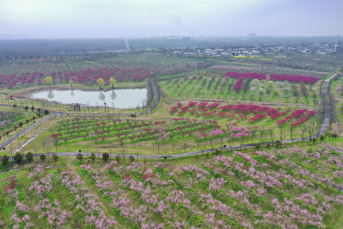 河南省漯河市万隆