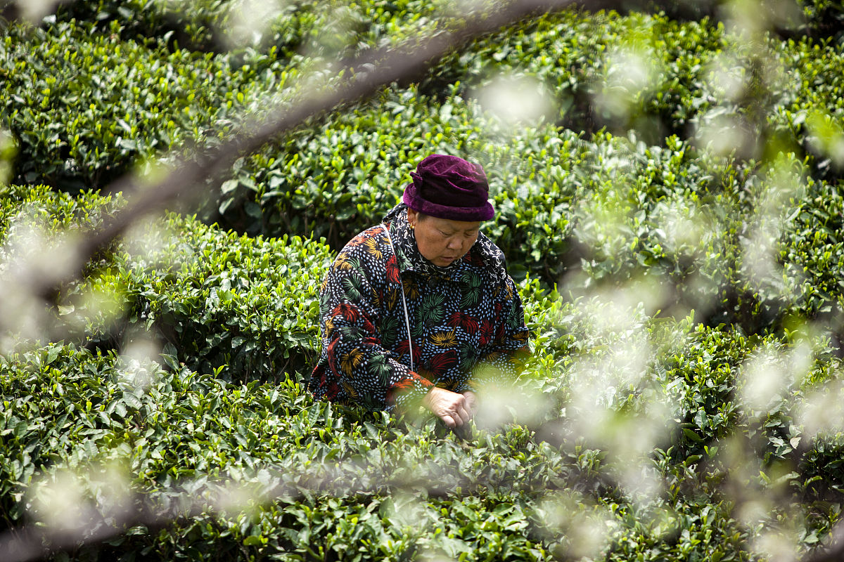宜昌卫校男生人数预测：2022年男生报考护理专业趋势