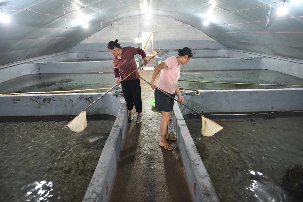 水产动物疾病防治：常见给药方法及优缺点