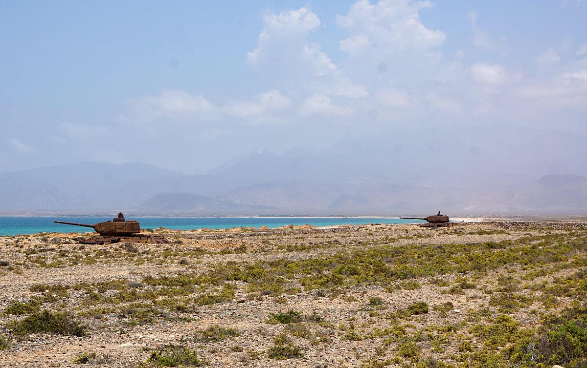 生态学中的族群是什么意思它和种群有什么关系