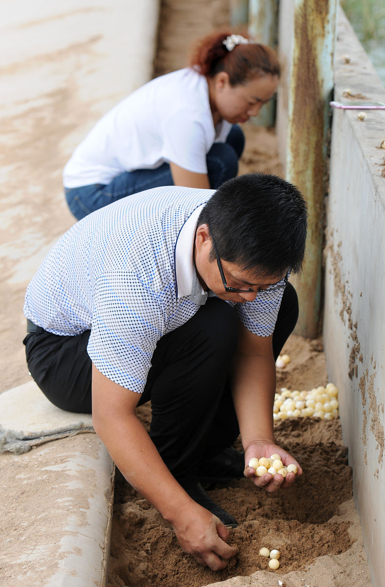 山东岁男孩独自生活，为省钱吃鸡蛋捡破蛋，勇敢撑起家庭！