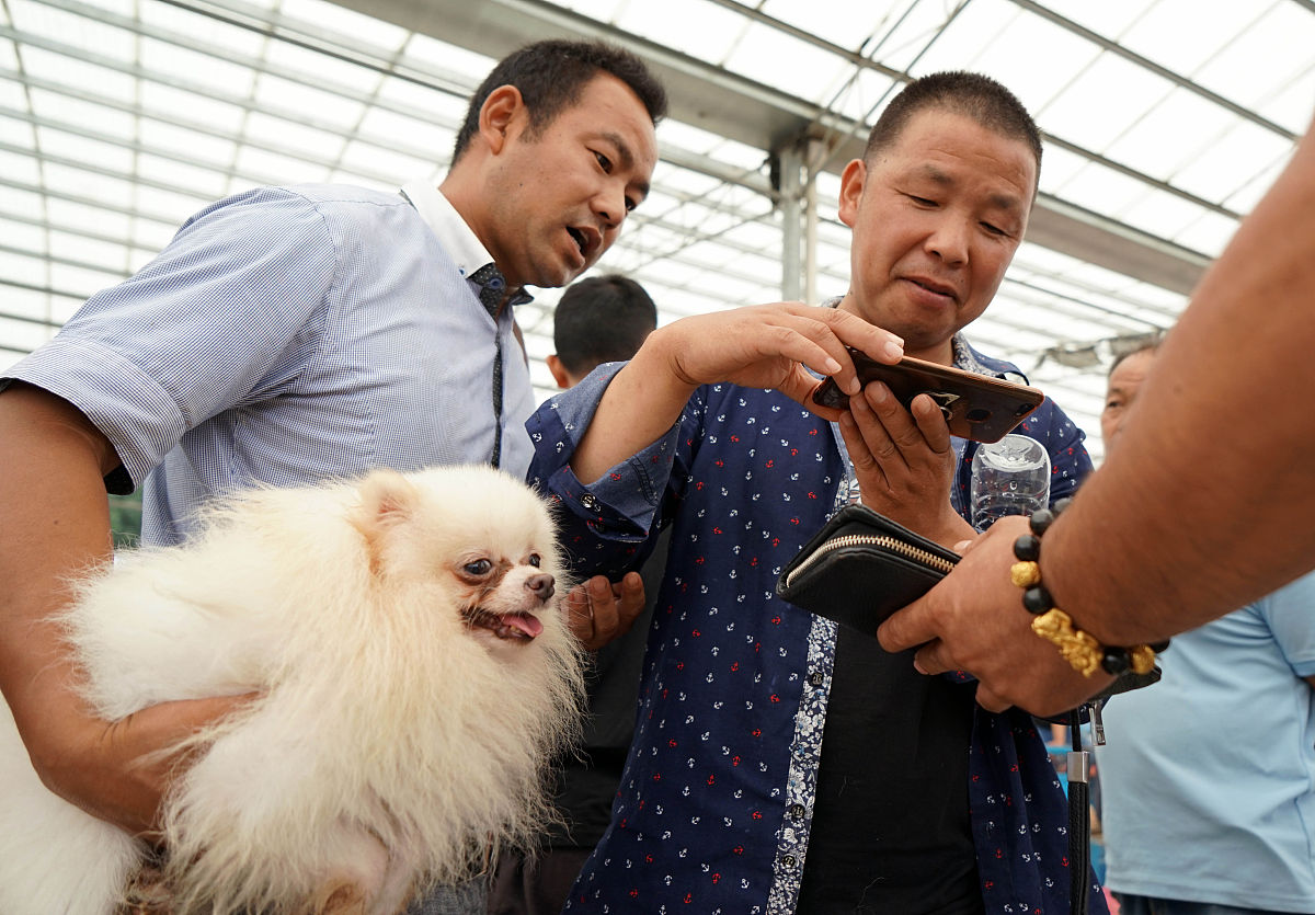 湖州市现代农业技术学校宠物养护与驯导就业前景好不好