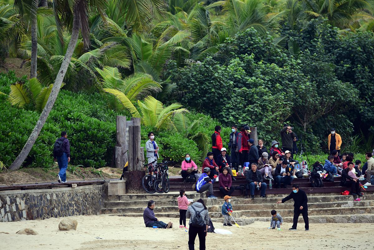 景迈山申遗成功！90秒沉浸式体验，带你领略古茶山魅力！