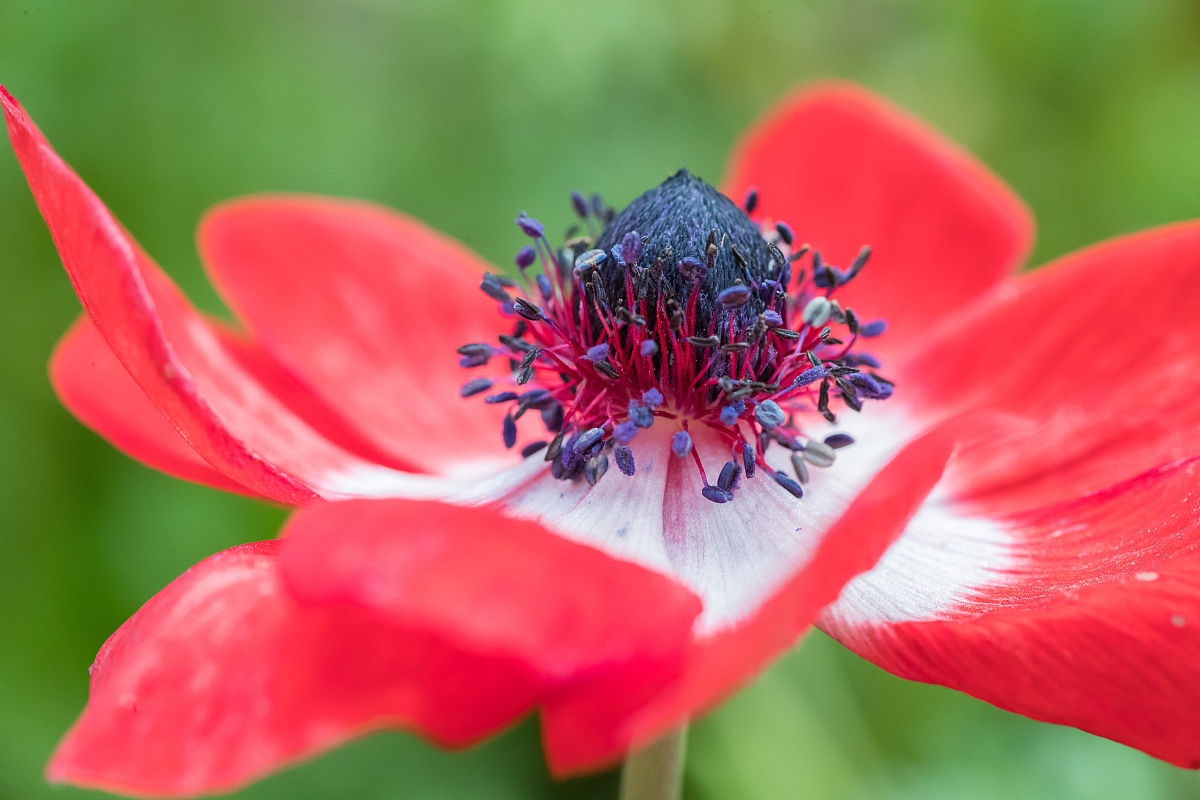 重庆三峡职业学院专业介绍：应用型人才培养的摇篮