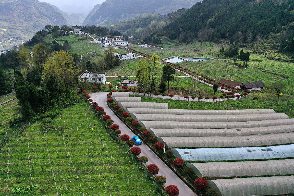 秦巴山区发展精品山地休闲农业，打造‘清凉药乡·康养胜境’旅游目的地