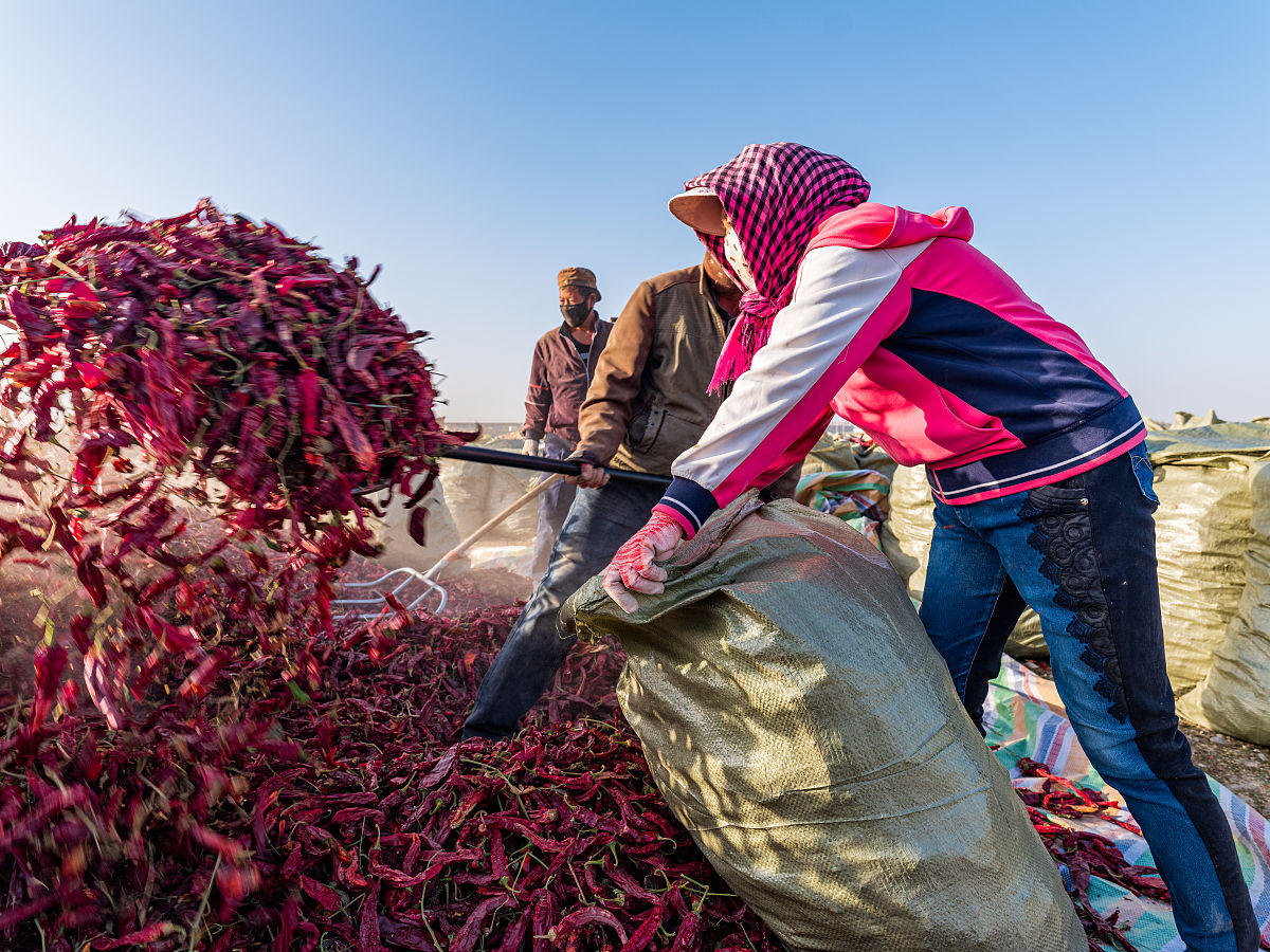 短信广告运营岗位考核指标：内部运营评估体系