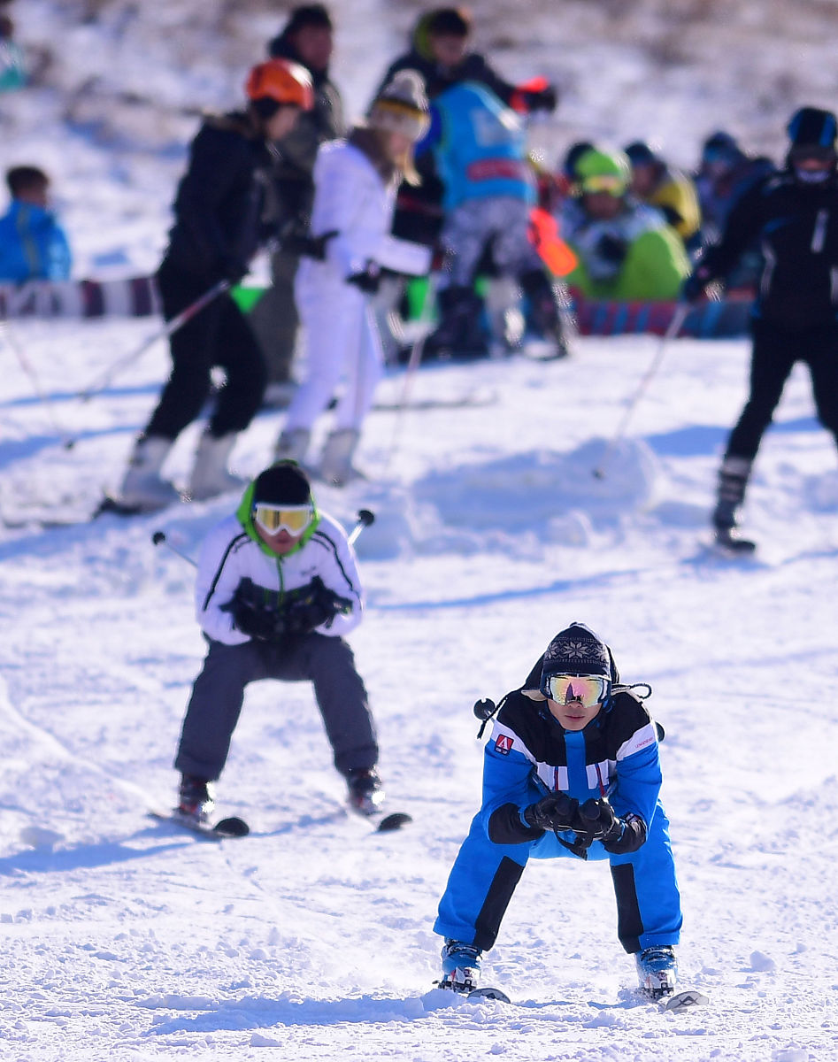 沈阳老百姓求助媒体指南：如何联系媒体？需要准备什么材料？