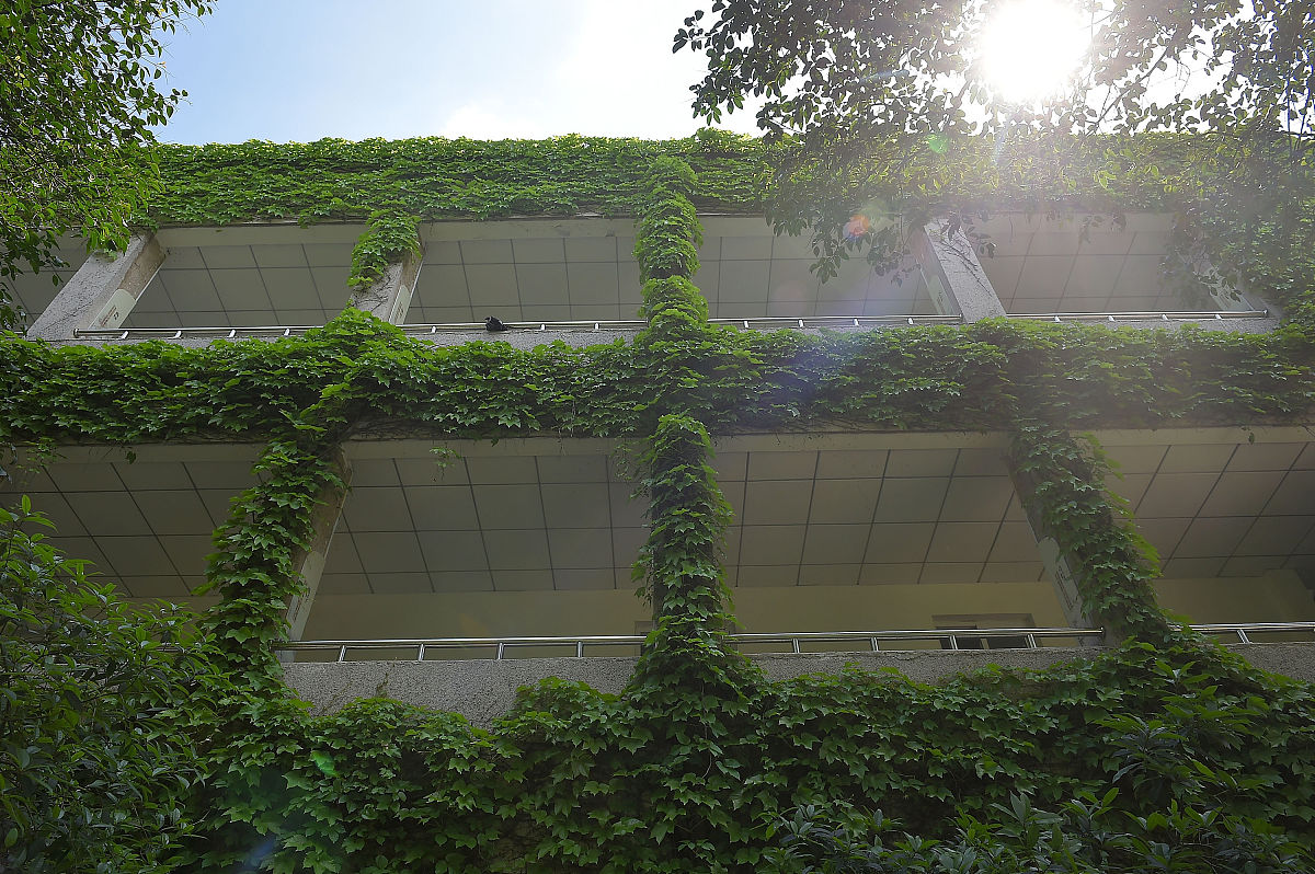 成都2021年哪所中专学校好